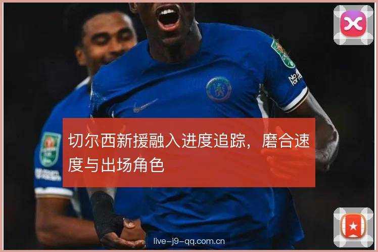 切尔西新援融入进度追踪，磨合速度与出场角色